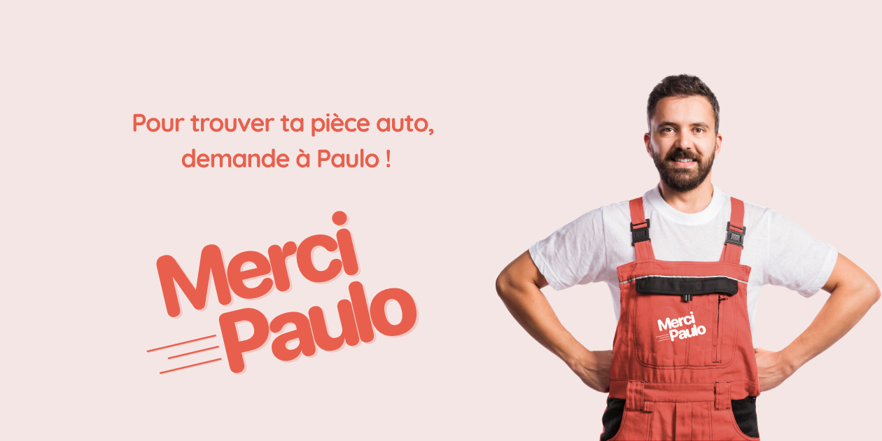 Merci Paulo Voiture Occasion