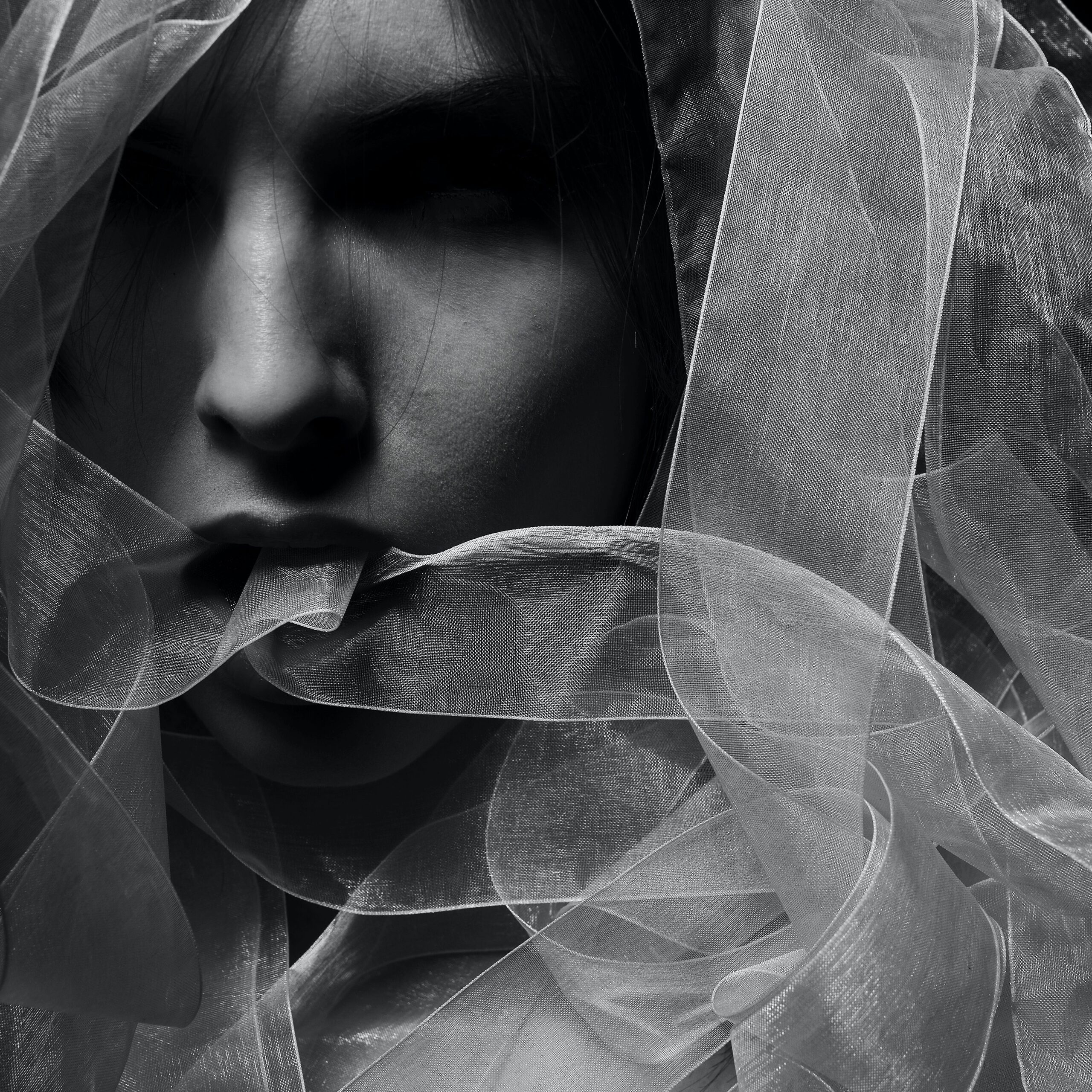 prelovv data seconde main B2B